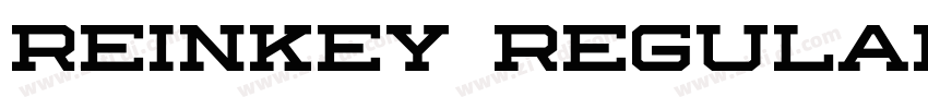 Reinkey Regular字体转换 Reinkey Regular字体转换